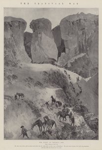 La guerra del Transvaal